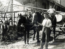 1927 men horse for sale  Eugene