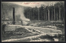 Perak tine mine usato Perak tine mine usato  Spedire a Italy