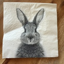 Lose servietten grauer gebraucht kaufen  Wiehl