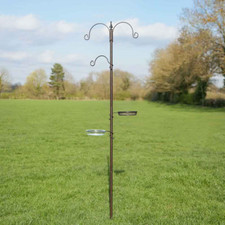 Garden wild bird for sale  BROXBURN