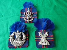 Cameron highlanders highland for sale  SALTBURN-BY-THE-SEA