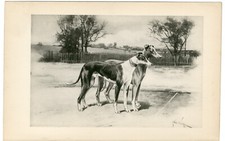 Whippet greyhound rare d'occasion  Expédié en Belgium