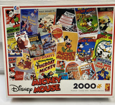 Disney mickey mouse for sale  Hickory