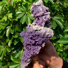 2.57lb natural grape d'occasion  Expédié en Belgium
