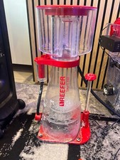 Red sea skimmer for sale  GRAVESEND