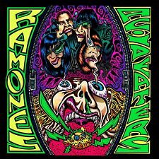 RAMONES Acid Eaters BANNER 2x2 pés pôster tecido tapeçaria bandeira álbum capa arte comprar usado  Enviando para Brazil