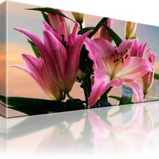 Lilien blumen bild gebraucht kaufen  Deutschland