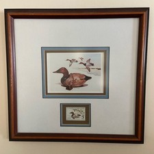1975 federal duck for sale  Arcadia