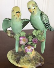 Staffordshire parakeets for sale  Wilmington