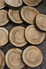 Baumscheibe holzscheibe trocke gebraucht kaufen  Boren
