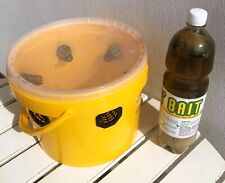 Flybait trappola professionale usato  Villaga