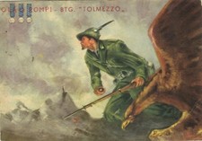 Alpini 6ª compagnia usato  Rovigo