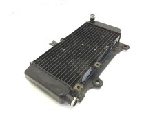 Radiatore acqua liquido usato  Viareggio