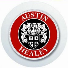 Austin healey car for sale  PAIGNTON