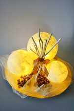 Schale licht lichtschale gebraucht kaufen  Schkopau