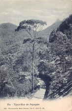 Cartão postal vintage A877 Brasil Rio Tijuca Bico do Papagaio comprar usado  Enviando para Brazil
