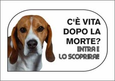 Cartello segnaletico beagle usato  Acate