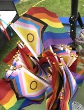 Mini progress pride for sale  READING