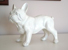 bouledogue francese usato bouledogue francese usato Italia