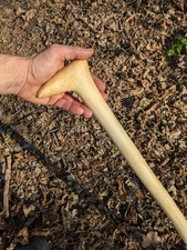 American beech walking for sale  BRISTOL