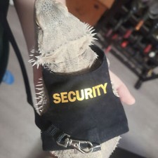 Adjustable bearded dragon for sale  LICHFIELD