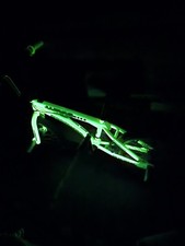 glow bike for sale glow bike for sale Saugerties