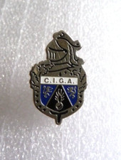 Insigne militaire pin d'occasion  Olivet
