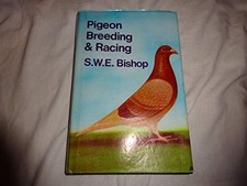 Pigeon breeding racing for sale  ROSSENDALE