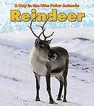 Reindeer by Marsico, Katie, usado comprar usado  Enviando para Brazil
