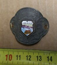 Walking stick badge usato  Castelnuovo Magra