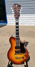 Custom mandolin case for sale  Balch Springs