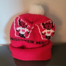 Vintage wisconsin badgers for sale  Whitewater