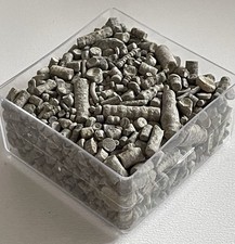 Stielglieder div crinoiden gebraucht kaufen  Hamburg