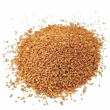 Camelina sativa 1kg usato  San Tammaro