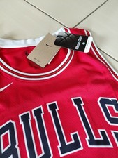 Chicago bulls trikot gebraucht kaufen  Mühlhausen-Ehingen