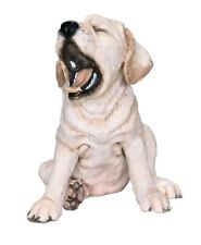 Golden labrador puppy for sale  Fargo