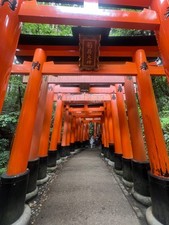 Mcs 1000 torii d'occasion  Chatou