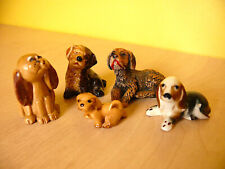mixed breed puppies for sale mixed breed puppies for sale BASINGSTOKE