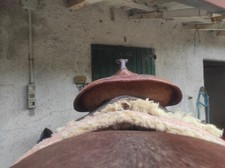 Sella equitazione western usato  Camerano