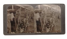 Antique stereoview card for sale  North Las Vegas
