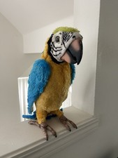 Furreal friends squawkers for sale  Issaquah