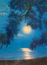 Water moon light for sale  Ahsahka