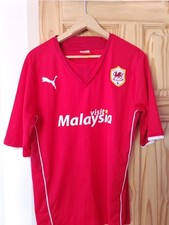 Cardiff city 2013 for sale  YORK