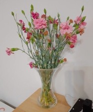 Elegante vaso de flores de vidro transparente - Perfeito para buquês, peças centrais, decoração para casa comprar usado  Enviando para Brazil