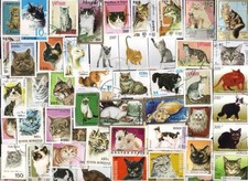 Gatos segunda mano  Embacar hacia Mexico