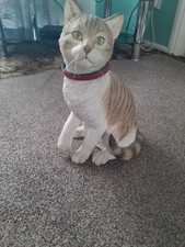 Country artists cat for sale  KIDDERMINSTER