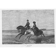 Match galloping horses for sale  GLASGOW