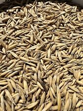 Lbs oat seed for sale  Strathcona