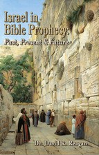 Israel bible prophecy for sale  Little Falls