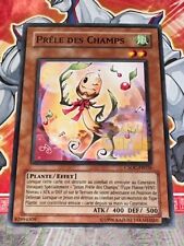 Carte prele champs d'occasion  Bruay-la-Buissière